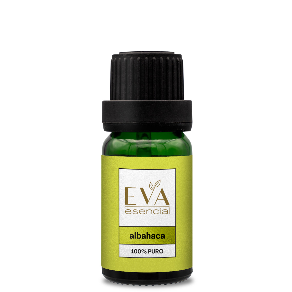 Albahaca Aceite Eva Esencial