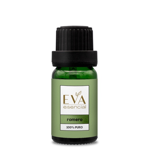 Aceite esencial Romero - Rosmarinus officinalis tipo Alcanfor