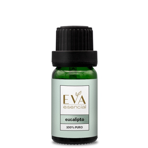 Aceite esencial Eucalipto - Eucalyptus globulus