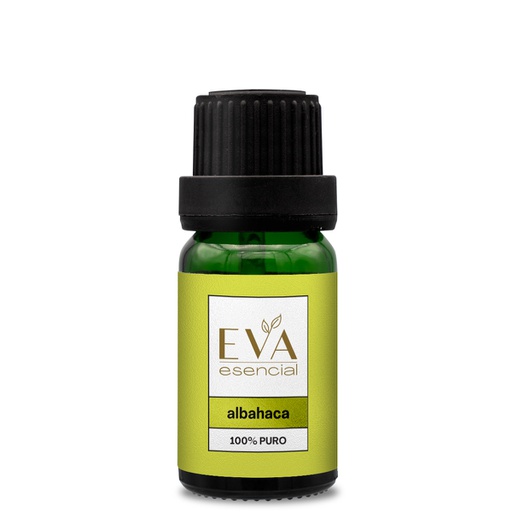Aceite esencial Albahaca - Ocimum basilicum
