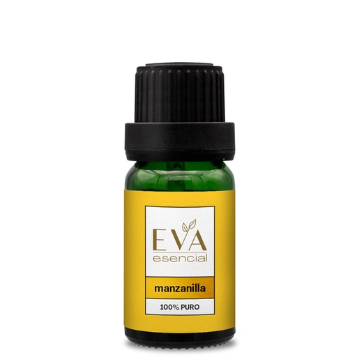 Aceite esencial Manzanilla - Santolina chamaecyparissus